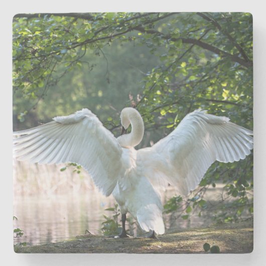 Dessous-de-verre En Pierre Swan avec ailes étalées (Devant)