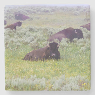 Dessous-de-verre En Pierre Tapis roulant de bison