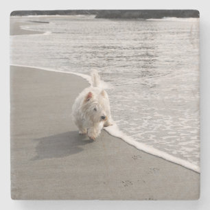 Dessous-de-verre En Pierre Tasse en pierre photo de chien Westie faisant de l