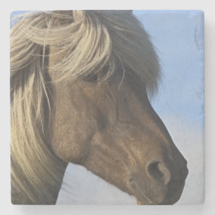 Dessous-de-verre En Pierre Tête de cheval islandais, Islande