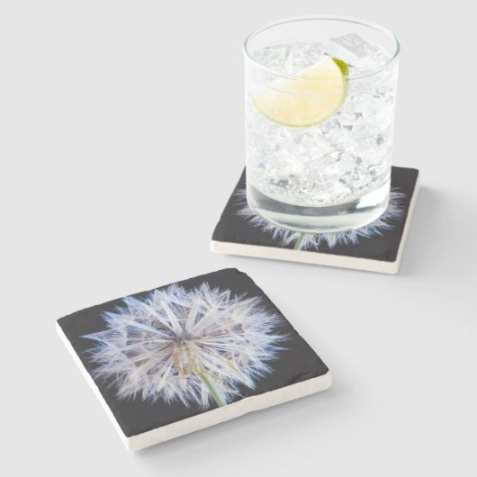 Dessous-de-verre En Pierre Tête de semence Dandelion (Taraxacum Officinale) (Côté)