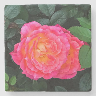 Dessous-de-verre En Pierre Tidly Winks Rose #1 Dessous de verre