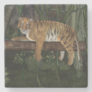 Dessous-de-verre En Pierre Tigre