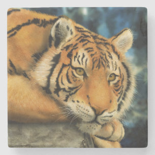 Dessous-de-verre En Pierre Tigre