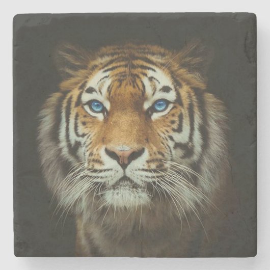 Dessous-de-verre En Pierre Tigre (Devant)