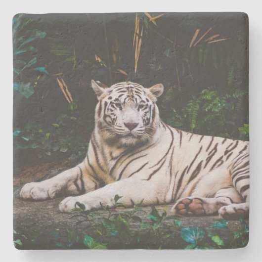 Dessous-de-verre En Pierre Tigre (Devant)