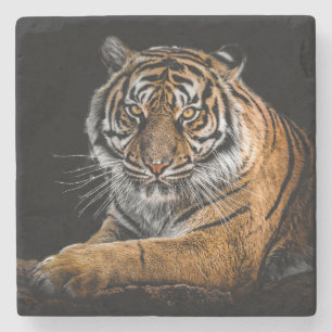Dessous-de-verre En Pierre Tigre Beau avec Fond Noir