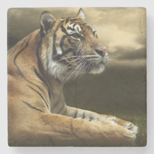 Dessous-de-verre En Pierre Tigre regardant et se reposant sous le ciel