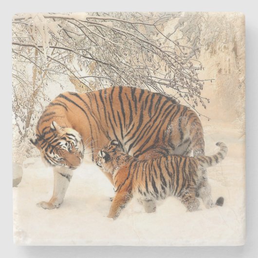Dessous-de-verre En Pierre Tigres (Devant)