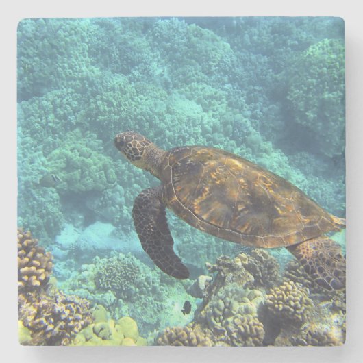 Dessous-de-verre En Pierre tortue de mer (Devant)