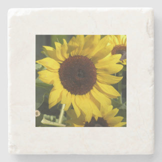 Dessous-de-verre En Pierre Tournesol