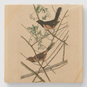 Dessous-de-verre En Pierre Towee Bunting (Eastern Towee) d'Audubon's Birds