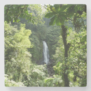Dessous-de-verre En Pierre Trafalgar Falls Tropical Rainforest Photographie