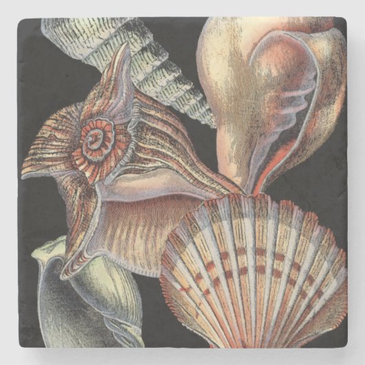 Dessous-de-verre En Pierre Trésors de la mer (Devant)