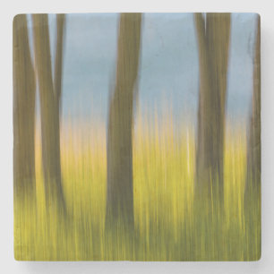Dessous-de-verre En Pierre Troncs d'arbres et herbe San Juan Islands, WA