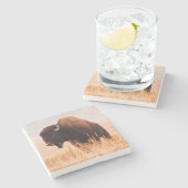 Dessous-de-verre En Pierre Troupeau De Bison Américain (Bison Bison) À Teton  (Côté)