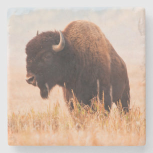 Dessous-de-verre En Pierre Troupeau de bisons d'Amérique (Bison Bison) dans T