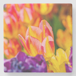 Dessous-de-verre En Pierre Tulipes Enchantant
