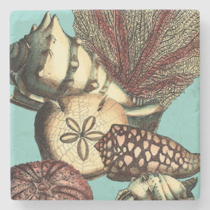 Dessous-de-verre En Pierre Turquoise Shell et collection de corail rouge