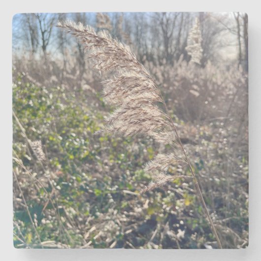 Dessous-de-verre En Pierre Un bonheur d'automne... (Devant)
