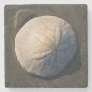 Dessous-de-verre En Pierre Un dollar de sable sur la plage