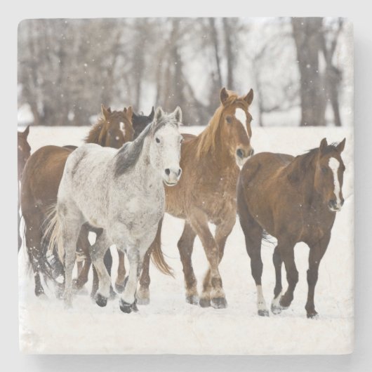 Dessous-de-verre En Pierre Un hiver pittoresque de course (Devant)