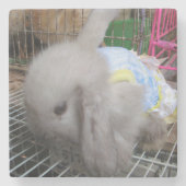 Dessous-de-verre En Pierre Un lapin en robe (Devant)