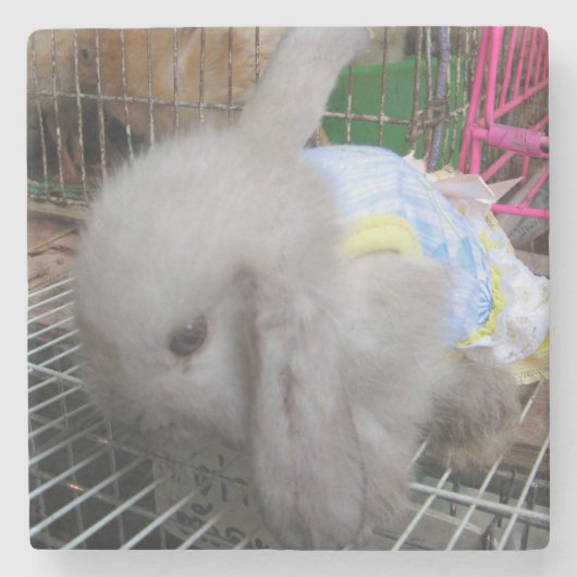 Dessous-de-verre En Pierre Un lapin en robe (Devant)