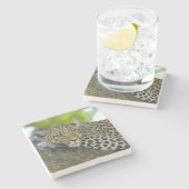 Dessous-de-verre En Pierre Un magnifique léopard (Côté)