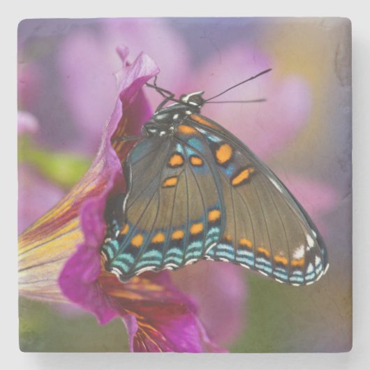 Dessous-de-verre En Pierre Un papillon swallowtail (Devant)