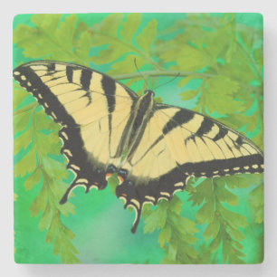 Dessous-de-verre En Pierre Un papillon swallowtail atterrissant