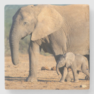 Dessous-de-verre En Pierre Une mère éléphant d'Afrique et son petit en déplac