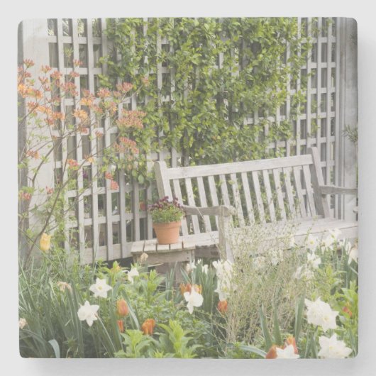 Dessous-de-verre En Pierre USA, Géorgie, Pine Mountain. Chaire dans (Devant)