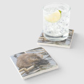 Dessous-de-verre En Pierre USA, Nebraska. Beaver (Côté)