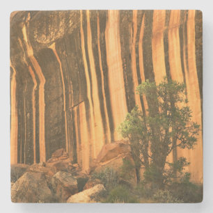 Dessous-de-verre En Pierre USA, Utah, Parc national du Capitol Reef