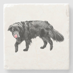 Dessous-de-verre En Pierre Vapeur de cannelle, Lick d'araignée