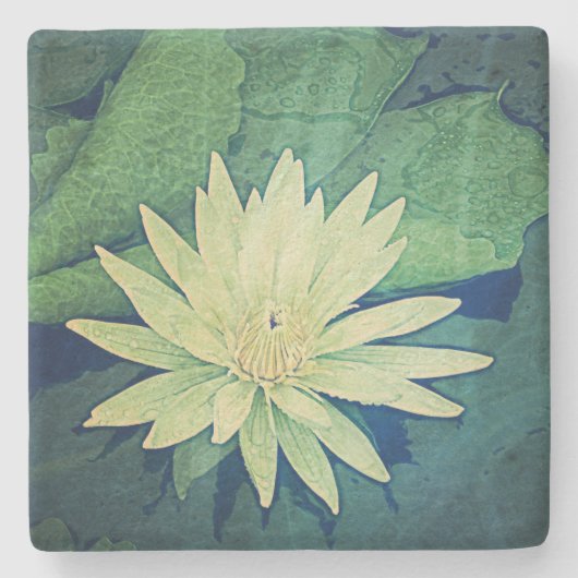 Dessous-de-verre En Pierre Vert de fleur de nénuphar (Devant)