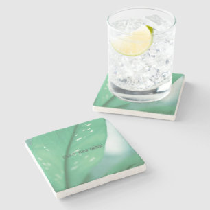 Dessous-de-verre En Pierre Vert pâle Plante Feuille Nature Se sentir bien boi