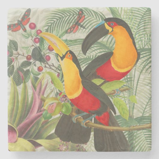 Dessous-de-verre En Pierre Vibrant Tropical Toucan Birds Art Exotic Jungle (Devant)