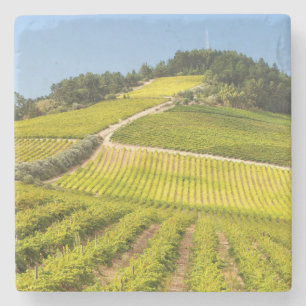 Dessous-de-verre En Pierre Vignoble, Stellenbosch, Cap-Occidental