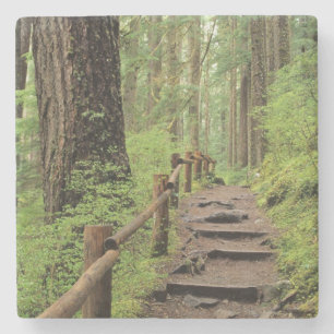 Dessous-de-verre En Pierre WA, parc national Olympique, vallée de Sol Duc, fo