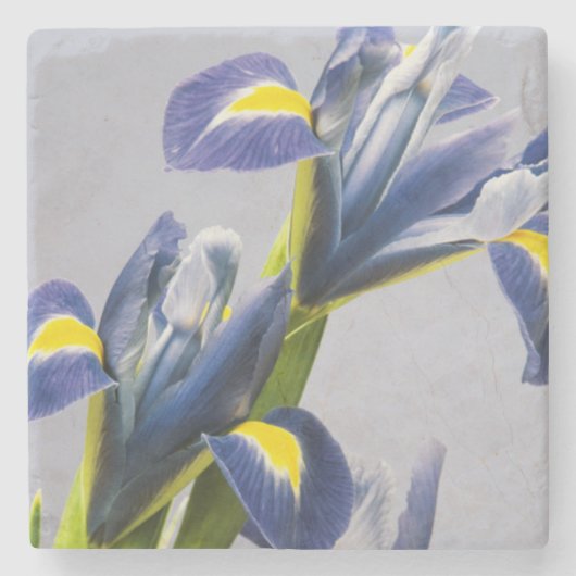 Dessous-de-verre En Pierre Washington, Redmond, Iris violets (Devant)