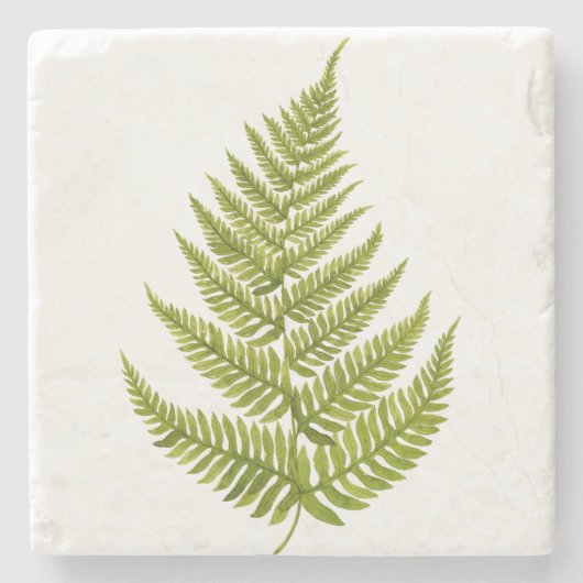 Dessous-de-verre En Pierre Watercolor Fern Pattern (Devant)