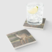 Dessous-de-verre En Pierre White Tail Deer proche (Côté)