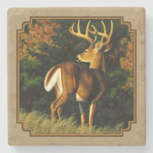 Dessous-de-verre En Pierre Whitetail Buck