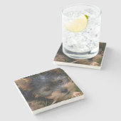 Dessous-de-verre En Pierre Yorkshire (Côté)