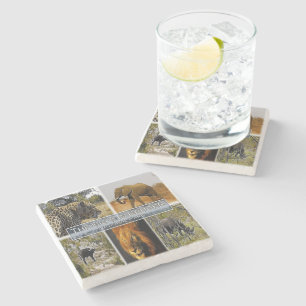 Dessous-de-verre En Pierre ZA * AFRIQUE DU SUD - LE GROS 5 à KRUGER N. P.