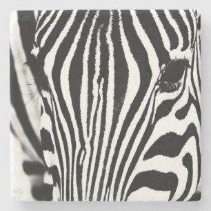 Dessous-de-verre En Pierre Zebra portrait noir et blanc