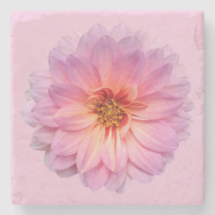 Dessous-de-verre En Pierre Zinnia rose Fond rose clair