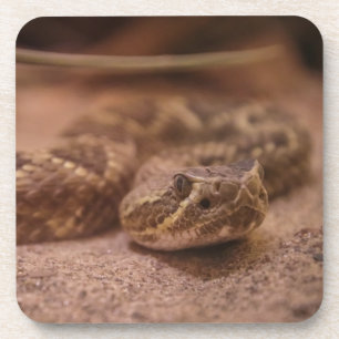 Dessous de verre en plastique dur